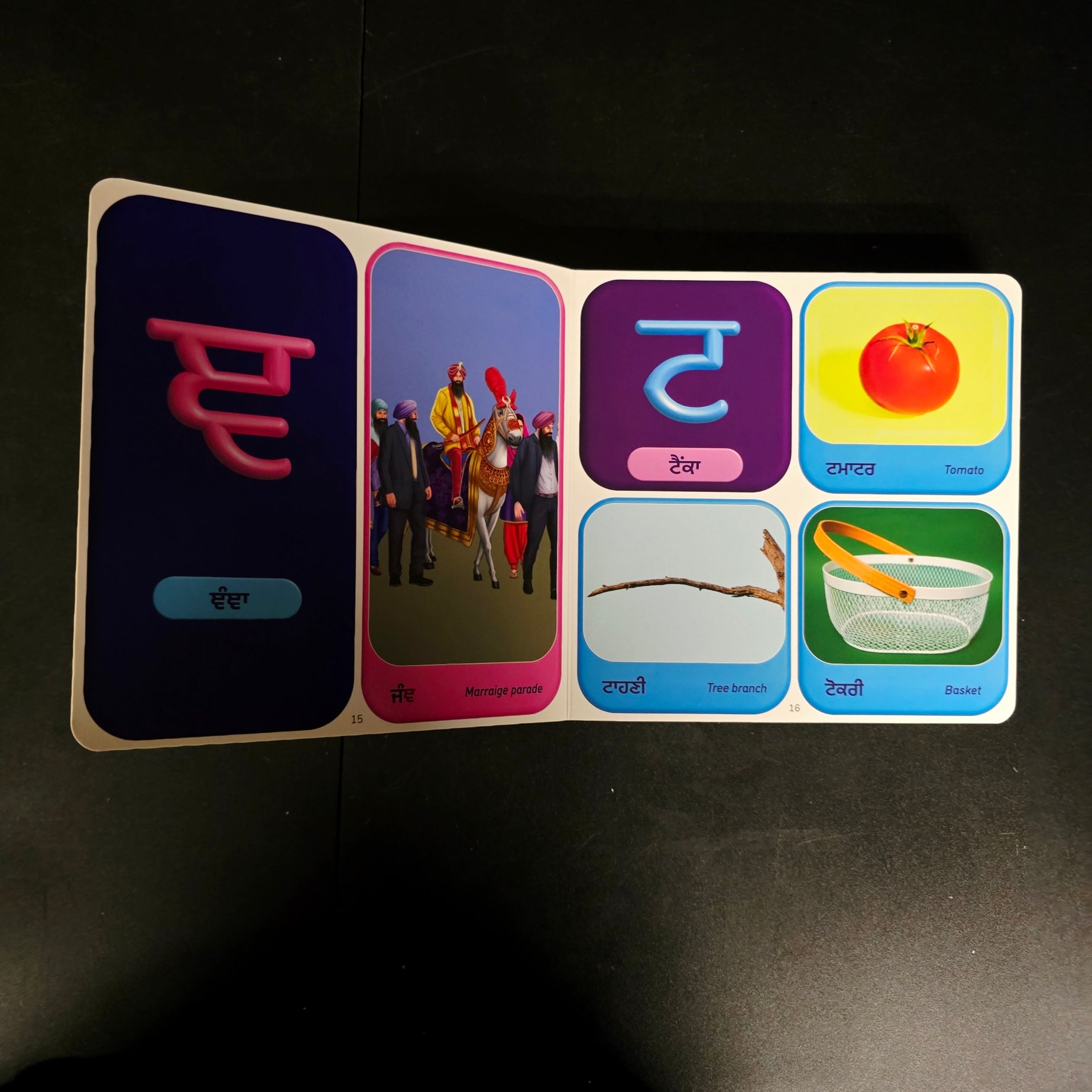 Gurmukhi Akhar Book for Kids | Punjabi Alphabet (Hardcover)