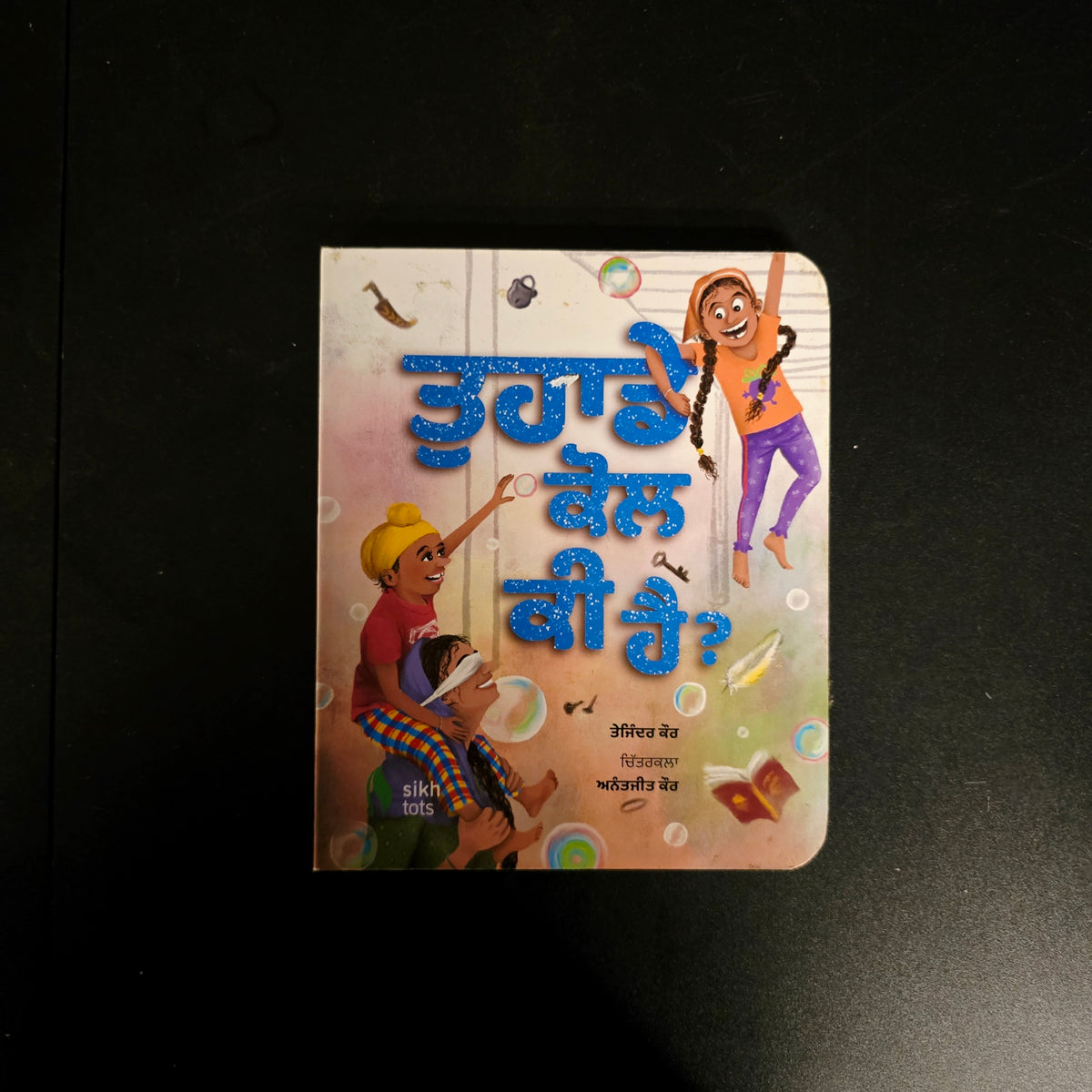 Tuhāḍe Kol Ki Hai? | Punjabi/Gurmukhi Vocabulary Picture Book for Kids (Hardcover)