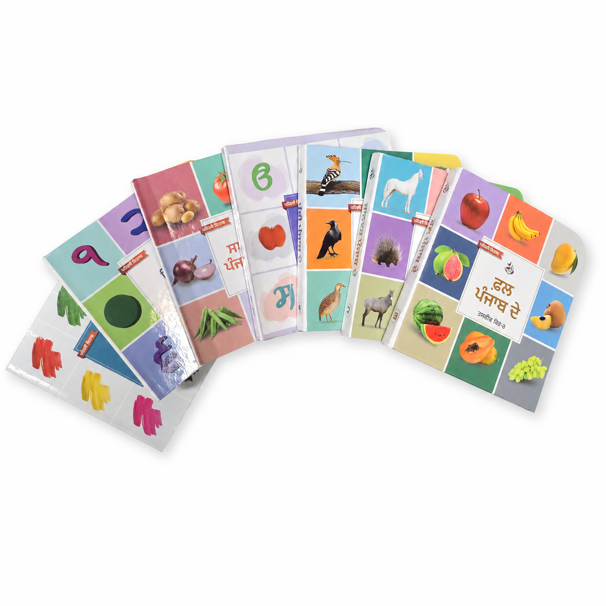 Punjabi Picture Hardcover Book Set for Kids (Set of 7)
